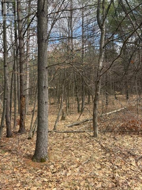 97 Greenly Road — photo 7 of 20