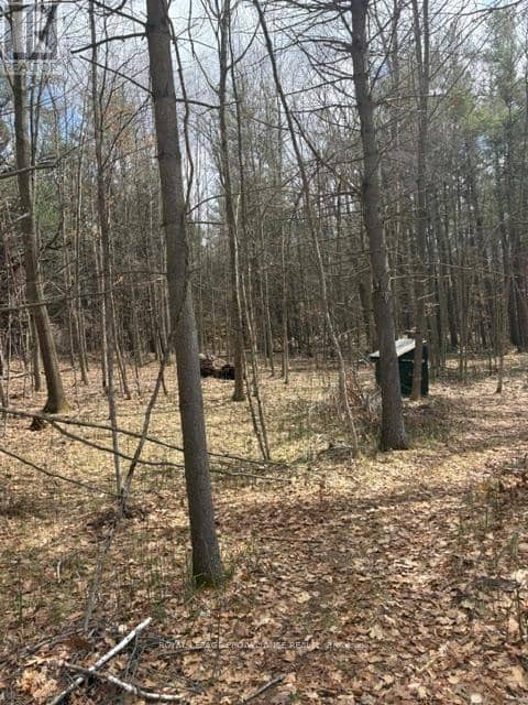 97 Greenly Road — photo 8 of 20