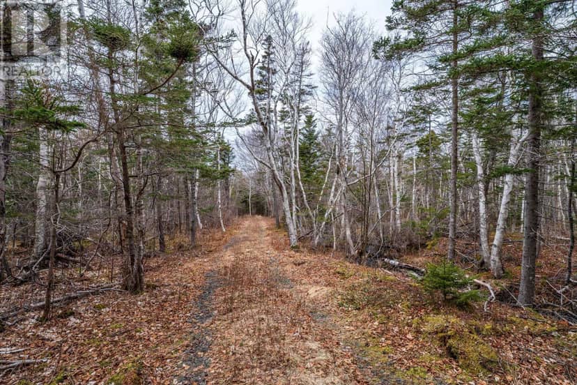 Shore Road — photo 19 of 33