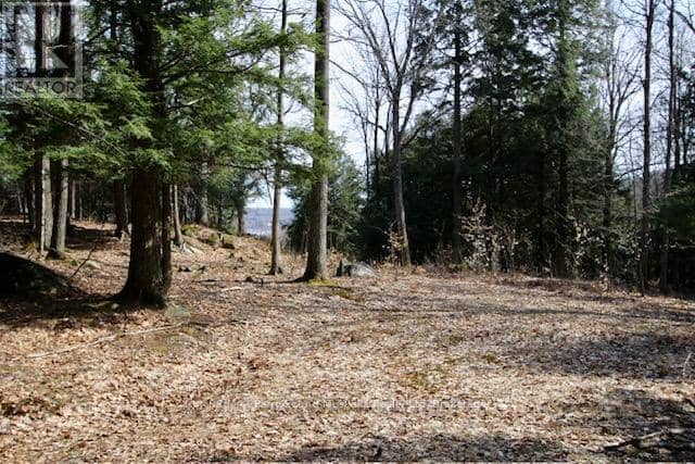 6 - 22 Gryffin Bluffs Lane — photo 1 of 31