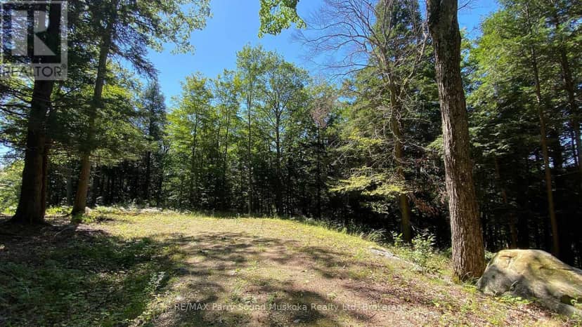 6 - 22 Gryffin Bluffs Lane — photo 11 of 31