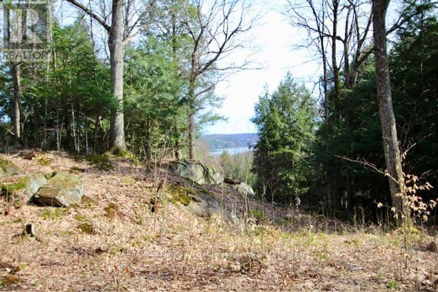 6 - 22 Gryffin Bluffs Lane — photo 2 of 31