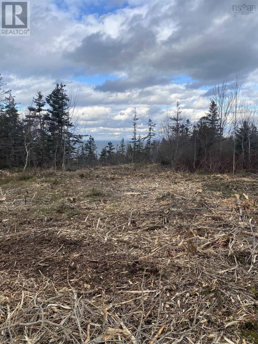 Lot 9 Shore Road West, Phinneys Cove, photo 2