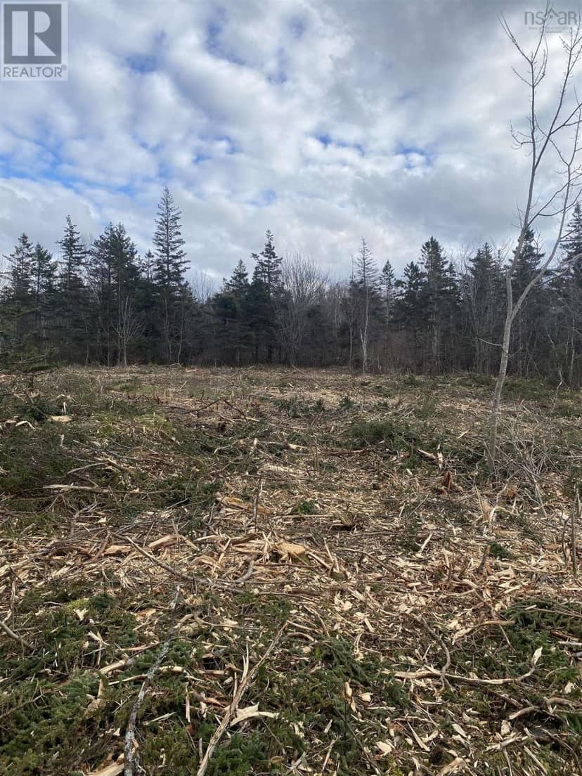 Lot 9 Shore Road West, Phinneys Cove, photo 4