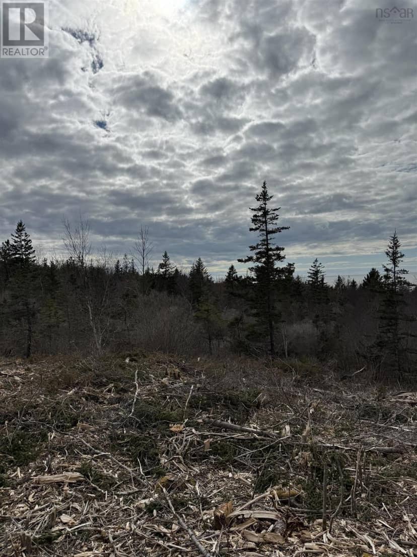 Lot 9 Shore Road West, Phinneys Cove, photo 7
