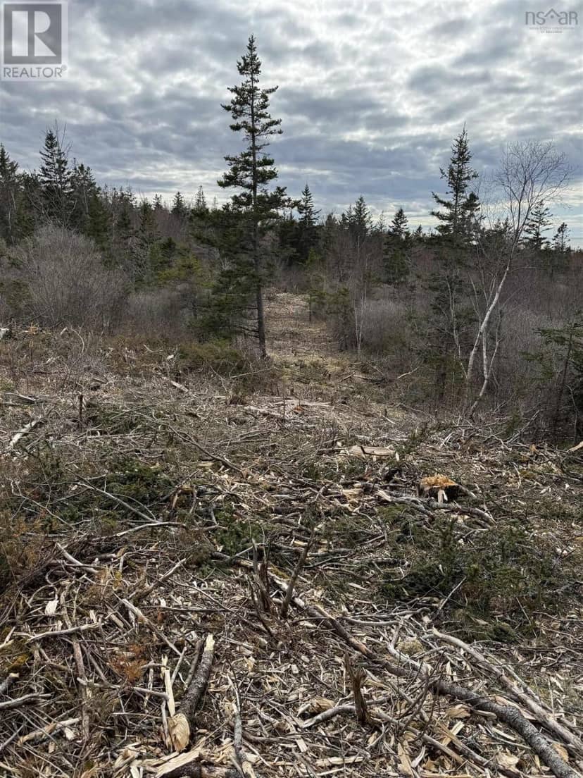 Lot 9 Shore Road West — photo 9 of 26