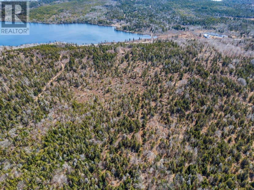 7395 Highway 217 — photo 12 of 13