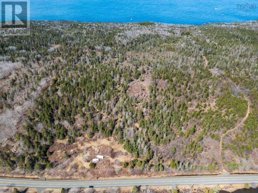 7395 Highway 217 — photo 4 of 13
