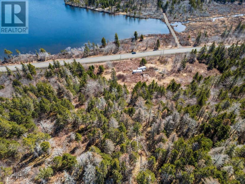 7395 Highway 217 — photo 9 of 13