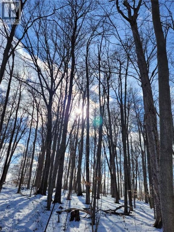 29 UNITY SIDE Road — photo 16 of 20