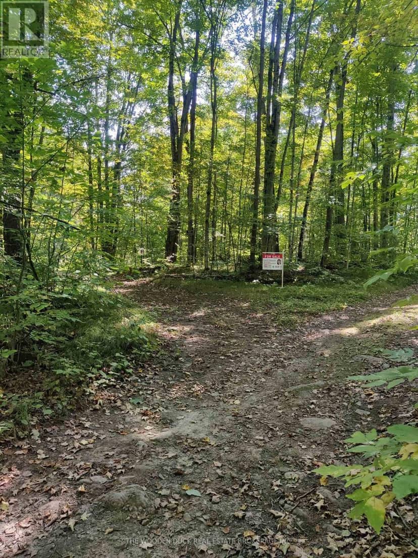 0EAST2 Road Allowance Road — photo 4 of 12