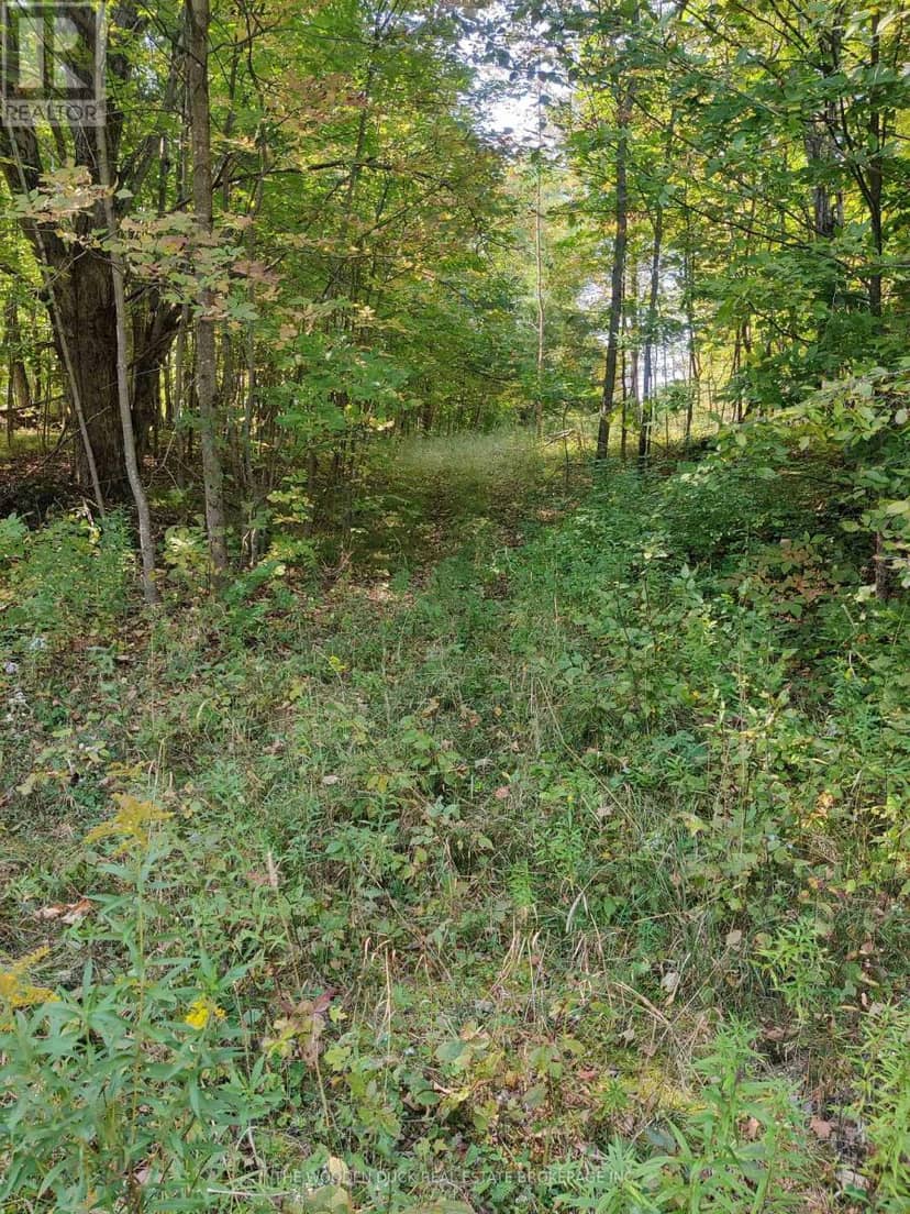 0WEST Road Allowance Road — photo 4 of 22