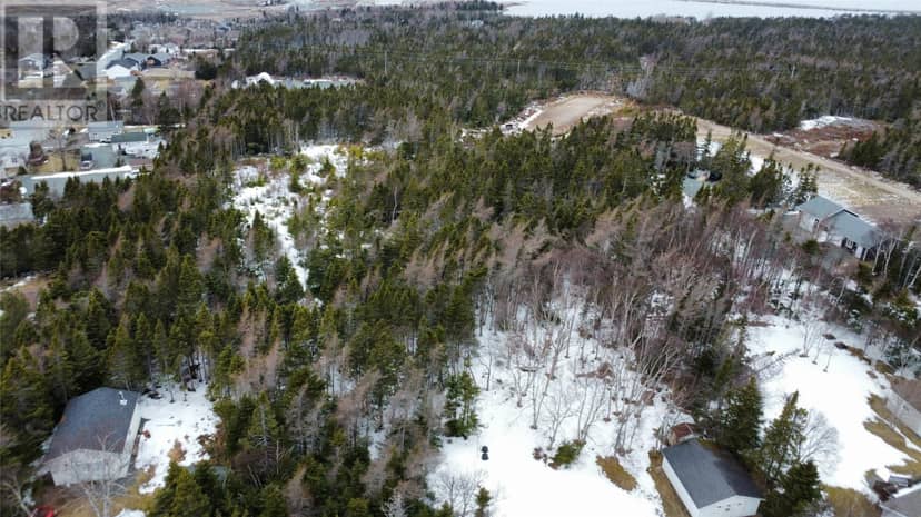 530 Seal Cove Road — photo 4 of 16