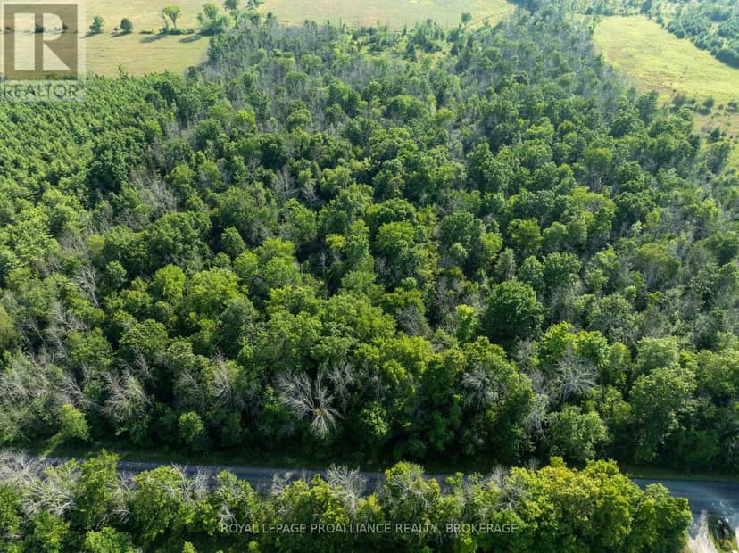 Pt Lt 6 Sunnyside Road, Rideau Lakes, photo 4