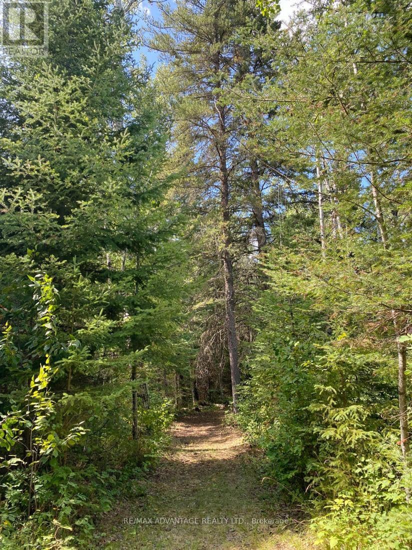 4650 Hwy 11/17 — photo 19 of 21