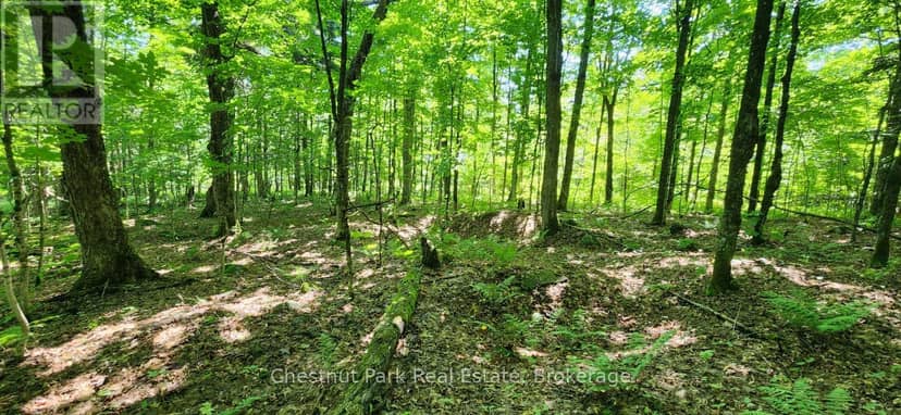 0 Skyline Drive, Armour, photo 7