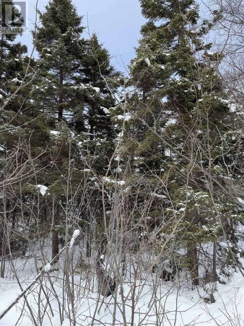 1 Barren Road — photo 11 of 15