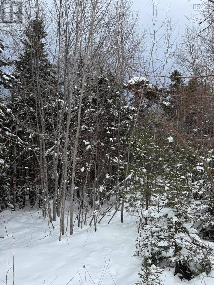 1 Barren Road — photo 6 of 15
