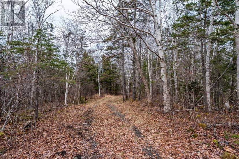 Lot Shore Road — photo 22 of 33