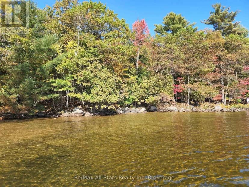 504 Bigwin Island, Lake of Bays, photo 4