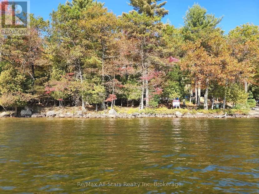 504 Bigwin Island, Lake of Bays, photo 5