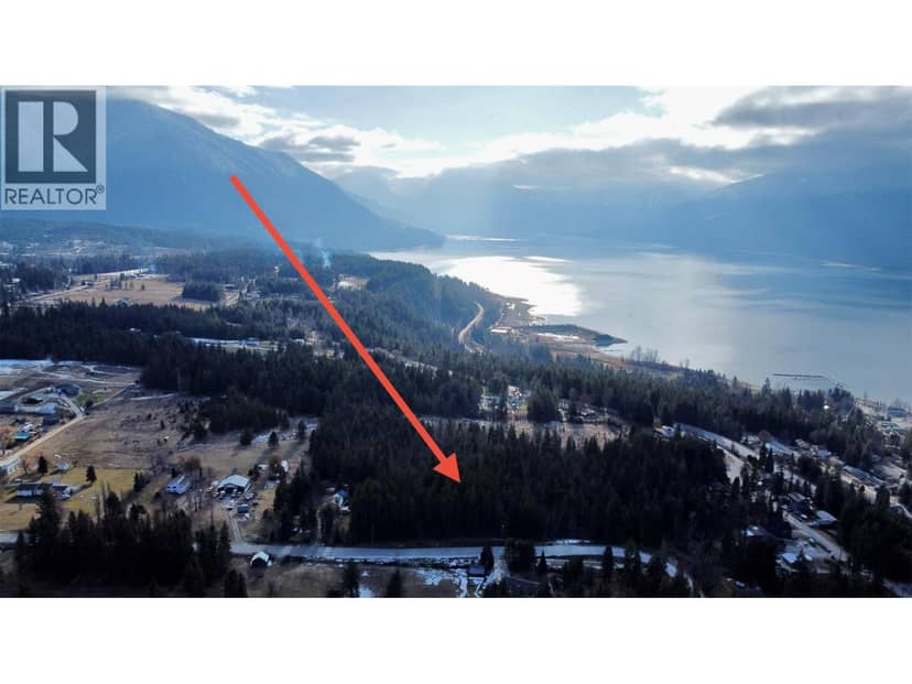 319 Nakusp East Road, Nakusp, photo 3