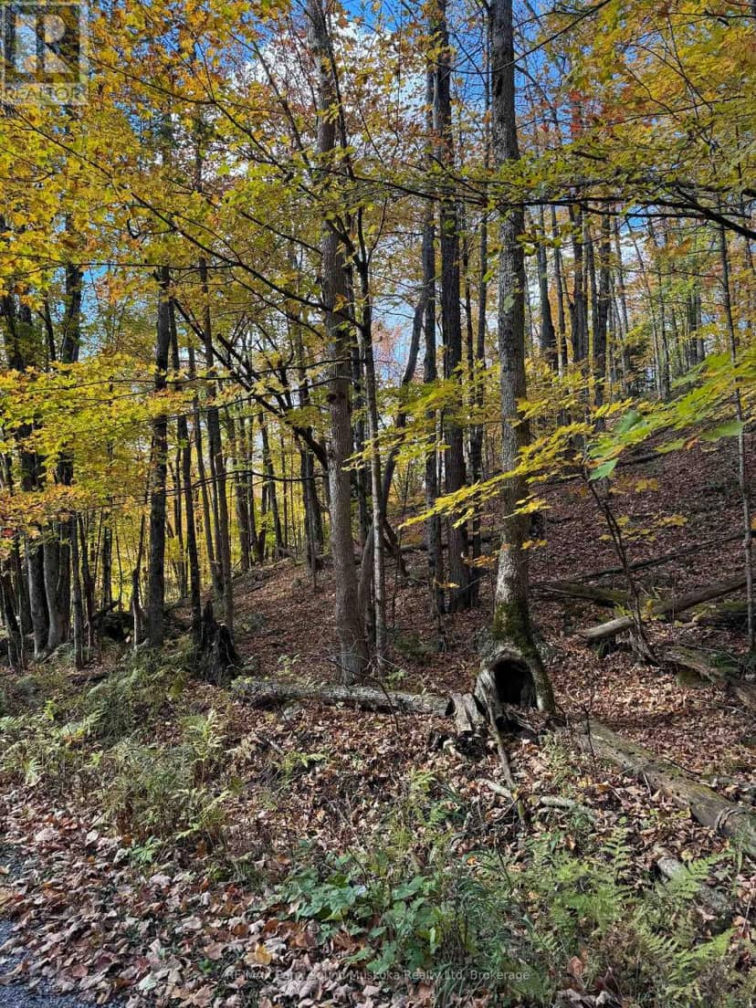 353C Balsam Creek Road, Parry Sound Remote Area