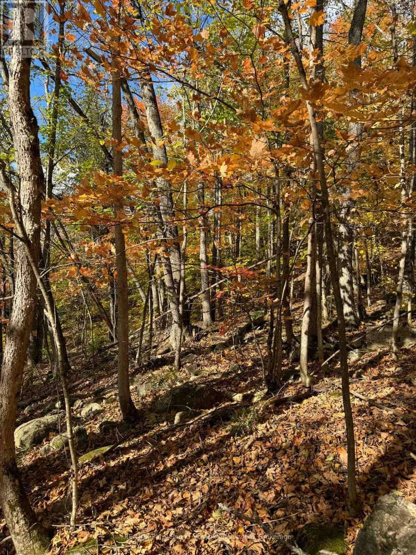 353C Balsam Creek Road — photo 11 of 14