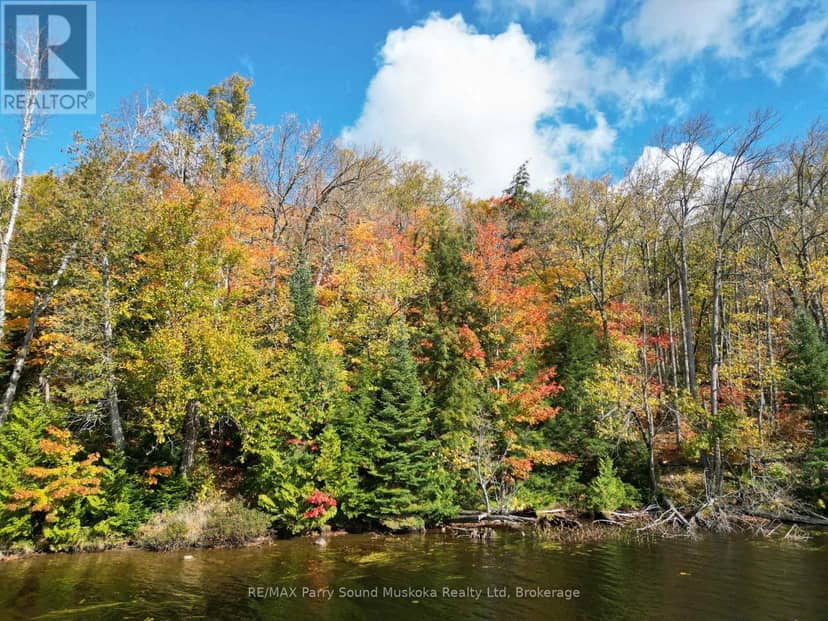 353C Balsam Creek Road, Parry Sound Remote Area, photo 2