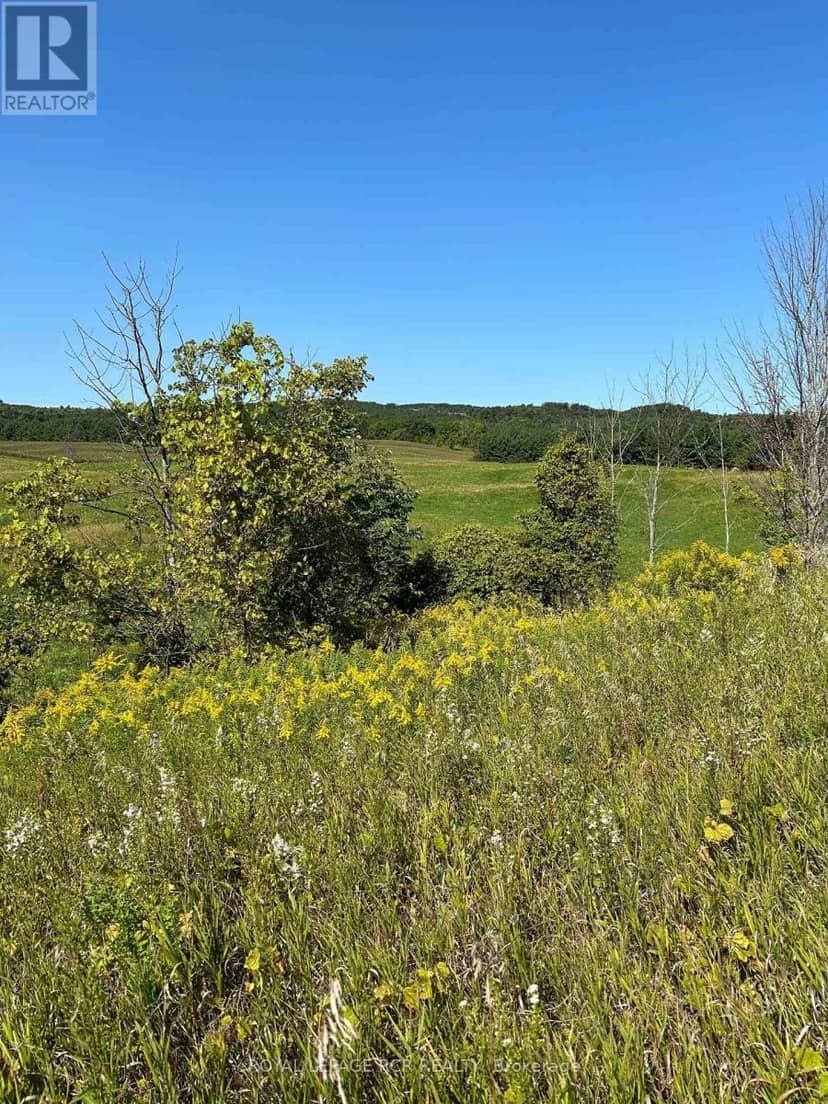 Lot 29 5th Line E — photo 13 of 13