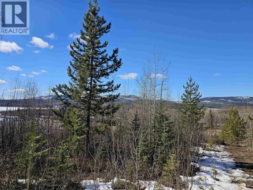 970 NASH ROAD, Burns Lake, photo 3