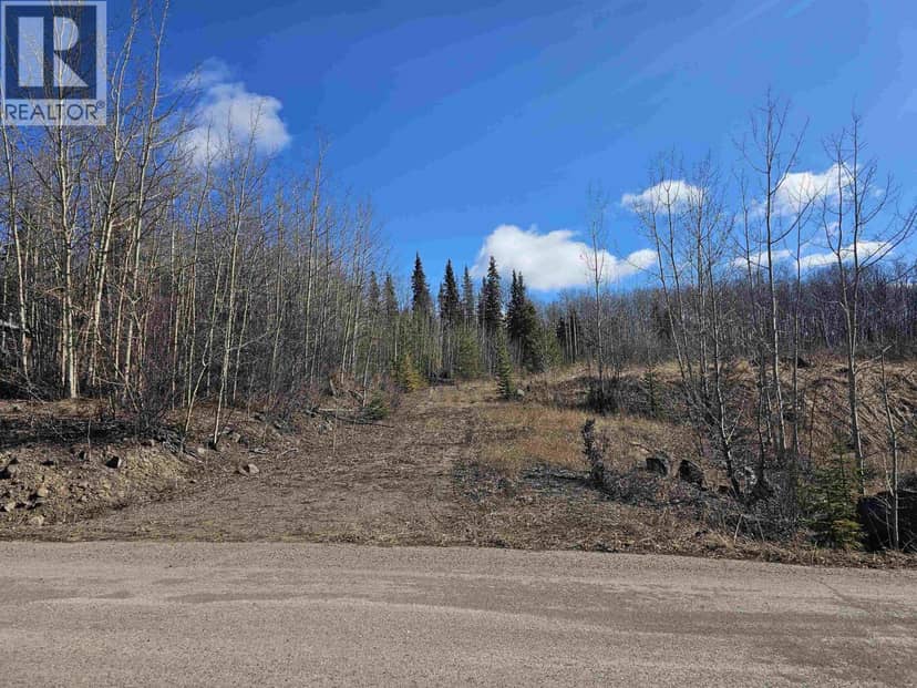 970 NASH ROAD, Burns Lake, photo 2