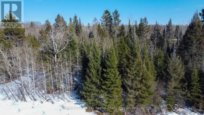 1317 Corbeil Road, East Ferris, photo 6