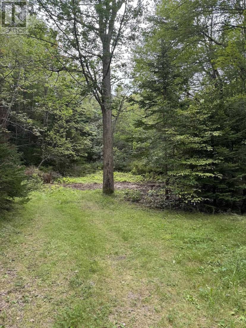 2553 Morse Road — photo 4 of 5