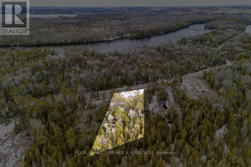 00 Rapid Road — photo 3 of 12