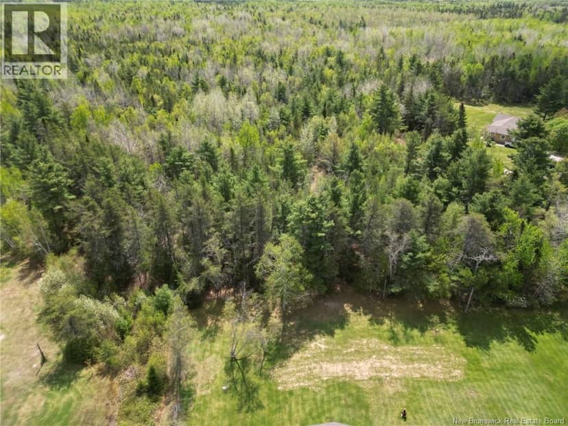 Lot 97-1 des Pins, Saint-Charles, photo 2