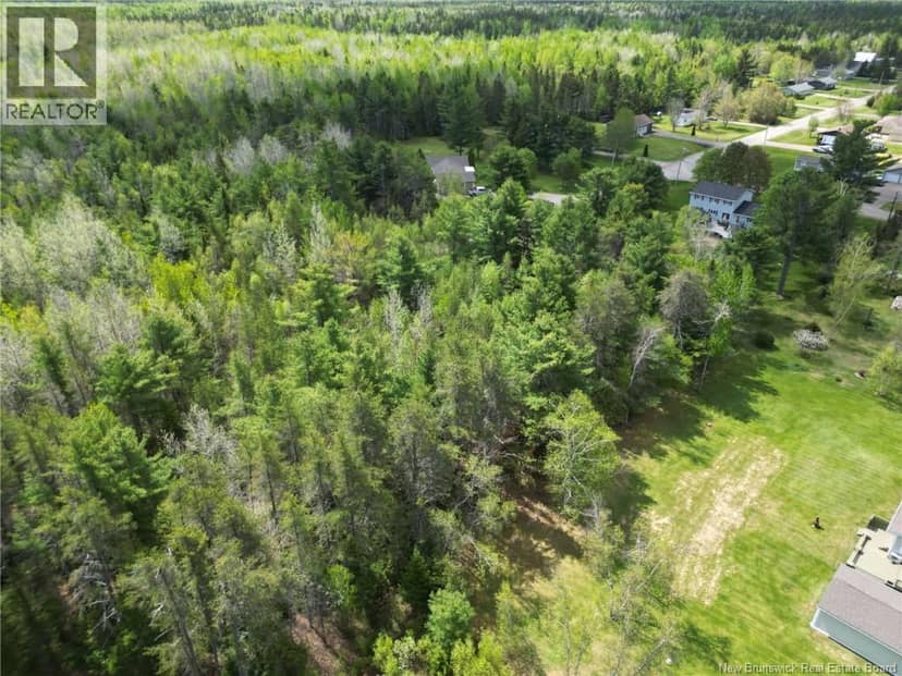 Lot 97-1 des Pins, Saint-Charles, photo 3