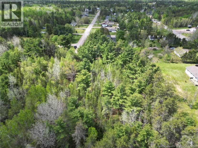 Lot 97-1 des Pins, Saint-Charles, photo 4