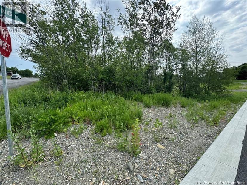 Evangeline Street — photo 3 of 5
