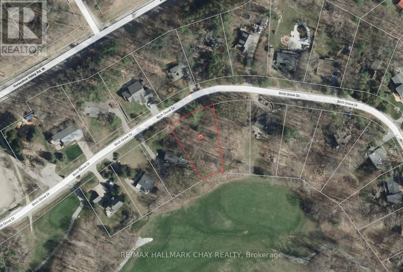 19 Birch Grove Drive — photo 1 of 17