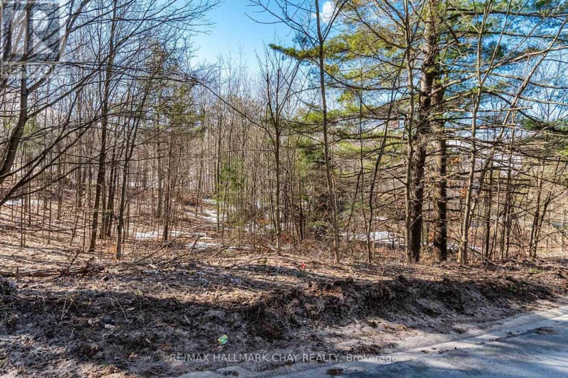 19 Birch Grove Drive — photo 2 of 17