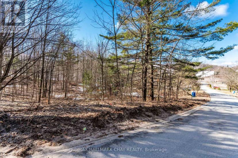 19 Birch Grove Drive — photo 4 of 17