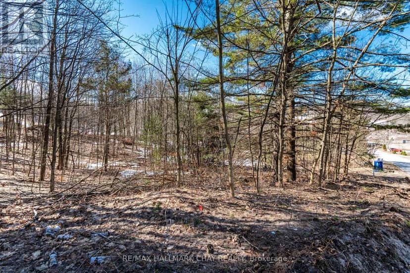19 Birch Grove Drive — photo 5 of 17