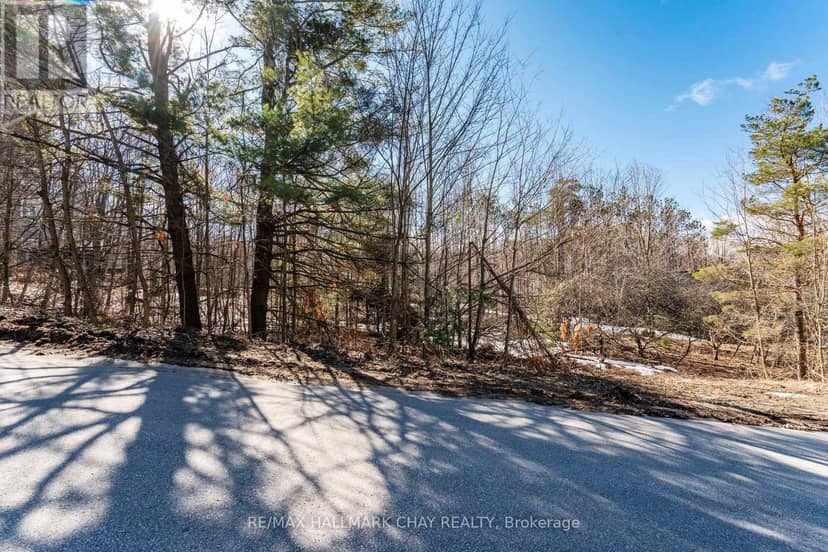 19 Birch Grove Drive — photo 6 of 17