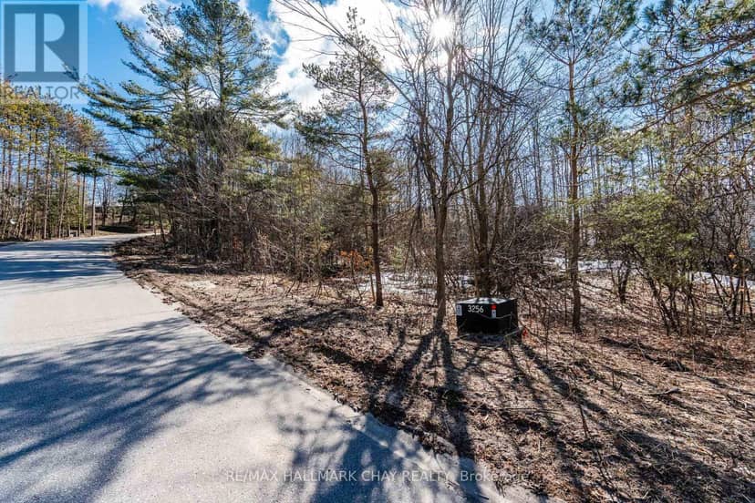 19 Birch Grove Drive — photo 7 of 17