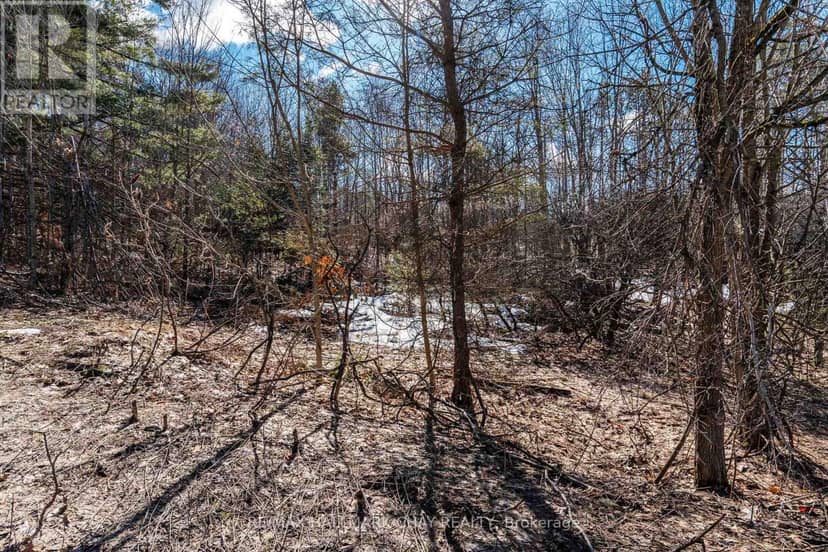 19 Birch Grove Drive — photo 8 of 17