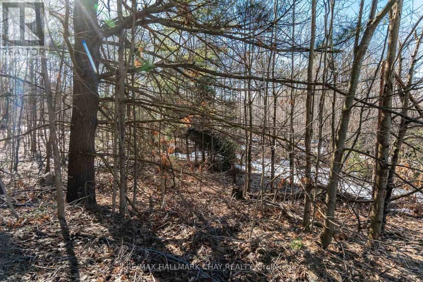 19 Birch Grove Drive — photo 9 of 17