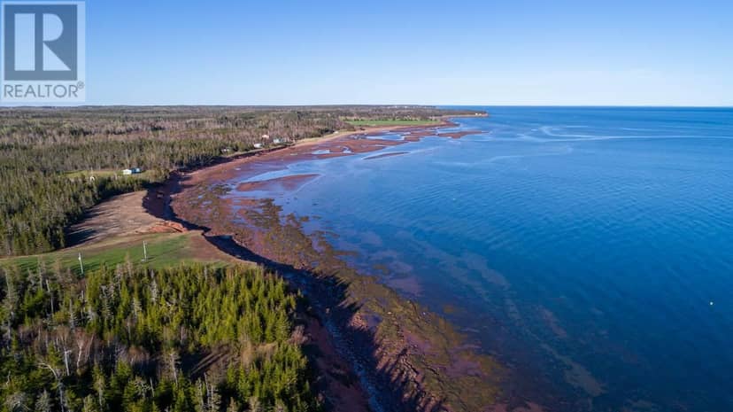 Acreage Shore Road — photo 12 of 21