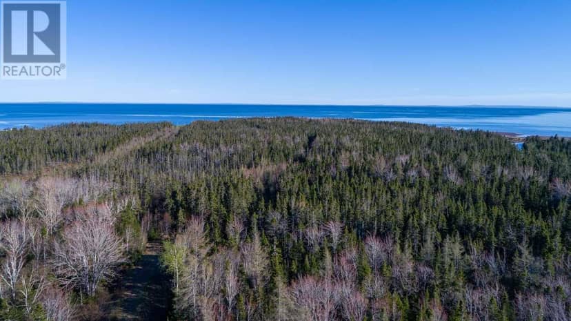 Acreage Shore Road — photo 3 of 21