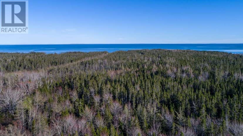 Acreage Shore Road — photo 4 of 21